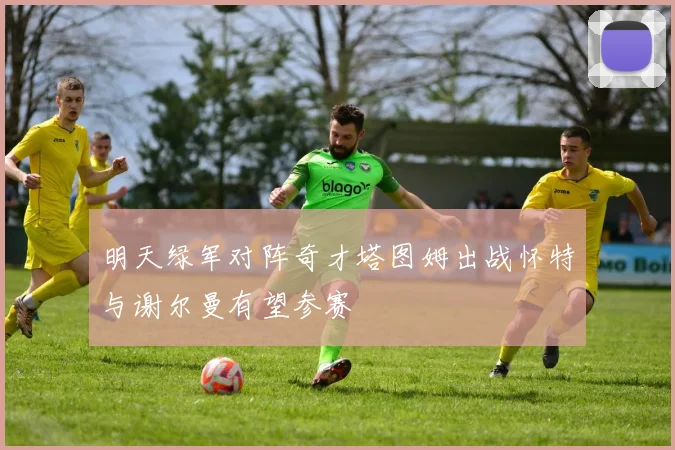 明天绿军对阵奇才塔图姆出战怀特与谢尔曼有望参赛